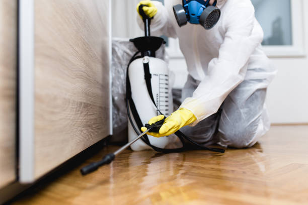 Best Pest Removal Services  in Mount Wolf, PA