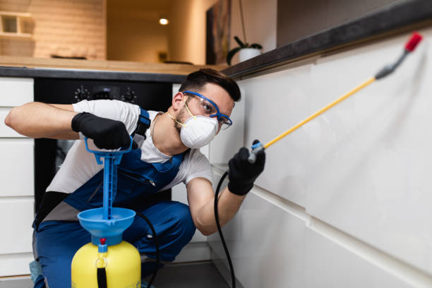 Best Affordable Pest Control Services  in Mount Wolf, PA