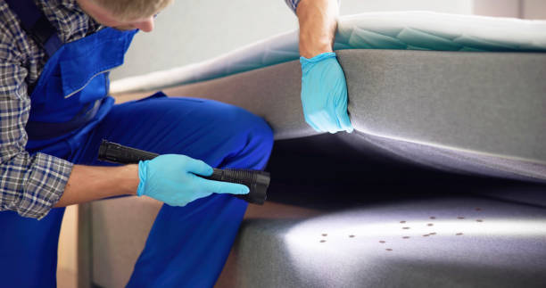 Best Pest Control Near Me  in Mount Wolf, PA