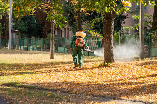 Pest Control for Restaurants in Mount Wolf, PA