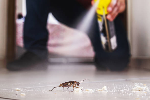 Wildlife Control Services in Mount Wolf, PA