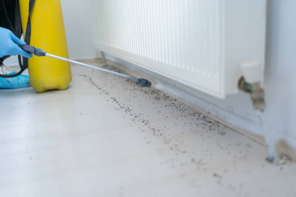 Best Exterminator Services  in Mount Wolf, PA