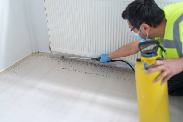 Best Affordable Pest Control Services  in Mount Wolf, PA