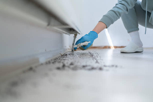 Best Emergency Pest Control  in Mount Wolf, PA
